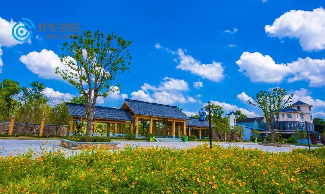 美丽乡村潘家浜现场教学
