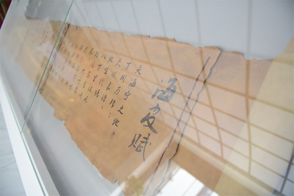 嘉兴红色教学点：海宁皮革博物馆